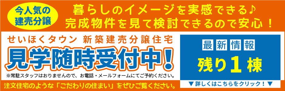 せいほくタウン新築建売住宅建物内覧会