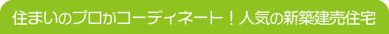 新築建売住宅